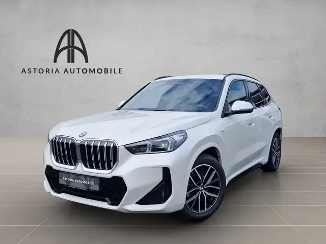 BMW X1 main image