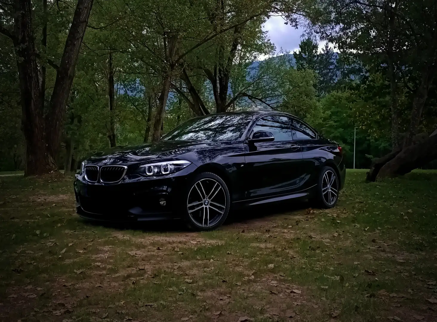 BMW 220 220d Coupe xdrive Msport auto my18 - 1