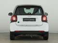 smart forTwo EQ coupé **22 kW-Bordlader*SHZ*Panorama** White - thumbnail 4