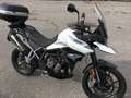 Triumph Tiger 900 GT 2020 Bianco - thumbnail 2