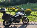 Triumph Tiger 900 GT 2020 Bianco - thumbnail 4