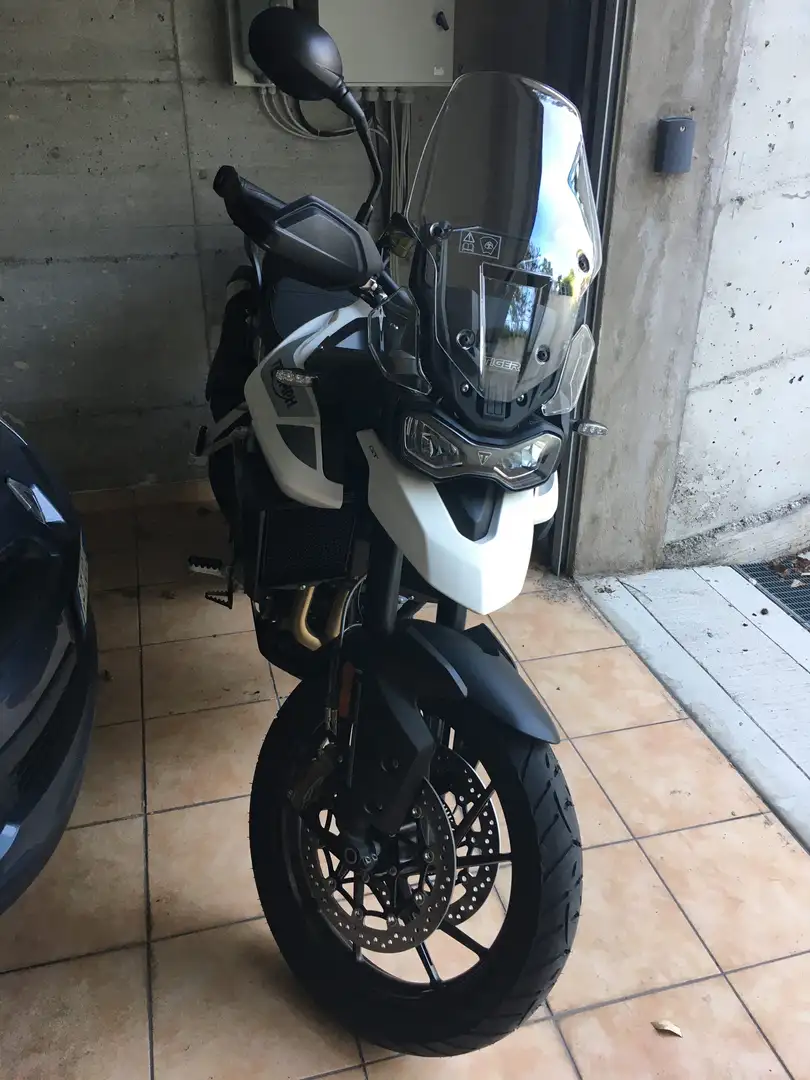 Triumph Tiger 900 GT 2020 Bianco - 1