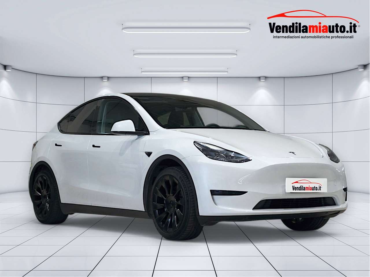 Tesla Model Y Single Motor RWD ( Cerchi 20" + Autopilot + Garanzia 7 anni)
