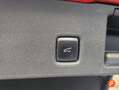 Ford Kuga 2.5 Duratec PHEV ST-Line 4x2 Rojo - thumbnail 23