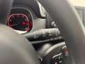 Fiat Panda 1.0 FireFly S&S Hybrid Grigio - thumbnail 13