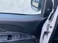 Fiat Doblo 1.6 Mj 105cv 16v SX "SENZA IVA ESPOSTA" Bianco - thumbnail 11