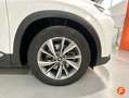 Hyundai SANTA FE Tm 2.2CRDi Tecno SR 4x4 Aut. Blanco - thumbnail 22