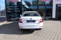 Skoda Octavia Lim. Ambition Klima PDC Sitzheizung Weiß - thumbnail 6