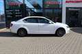 Skoda Octavia Lim. Ambition Klima PDC Sitzheizung Weiß - thumbnail 10