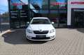 Skoda Octavia Lim. Ambition Klima PDC Sitzheizung Weiß - thumbnail 2