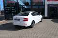 Skoda Octavia Lim. Ambition Klima PDC Sitzheizung Weiß - thumbnail 9