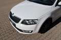 Skoda Octavia Lim. Ambition Klima PDC Sitzheizung Weiß - thumbnail 12