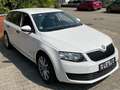 Skoda Octavia Active // Fehlermeldung Export, Händler Bastler Wit - thumbnail 3