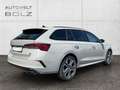 Skoda Octavia Combi RS 1.4 TSI iV HUD Navi DigiCock Memory Sitze Grau - thumbnail 4
