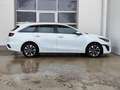 Kia Ceed SW / cee'd SW 1.6 PHEV Spirit LED|Navi|SHZ Weiß - thumbnail 28