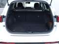Kia Ceed SW / cee'd SW 1.6 PHEV Spirit LED|Navi|SHZ Weiß - thumbnail 25