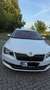 Skoda Superb Superb 2.0 TDI L - thumbnail 4