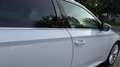 Skoda Superb Superb 2.0 TDI L - thumbnail 13