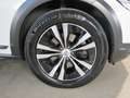 Volvo V90 Cross Country 2.0 D4 190 CV BUSINESS PLUS AWD GEARTRONIC Bianco - thumbnail 5