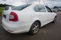 Skoda Octavia 1,6 Elegance TDI CR DPF Weiß - thumbnail 3