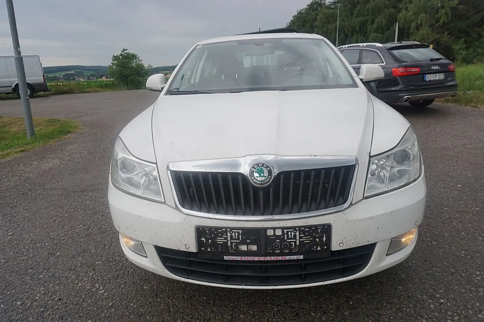 Skoda Octavia 1,6 Elegance TDI CR DPF Weiß - 1