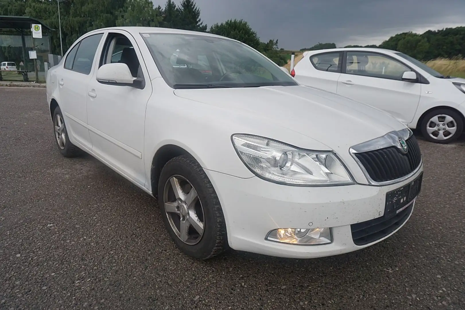 Skoda Octavia 1,6 Elegance TDI CR DPF Weiß - 2