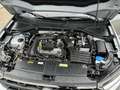 Volkswagen T-Roc 1.0 TSI Live Business - thumbnail 10