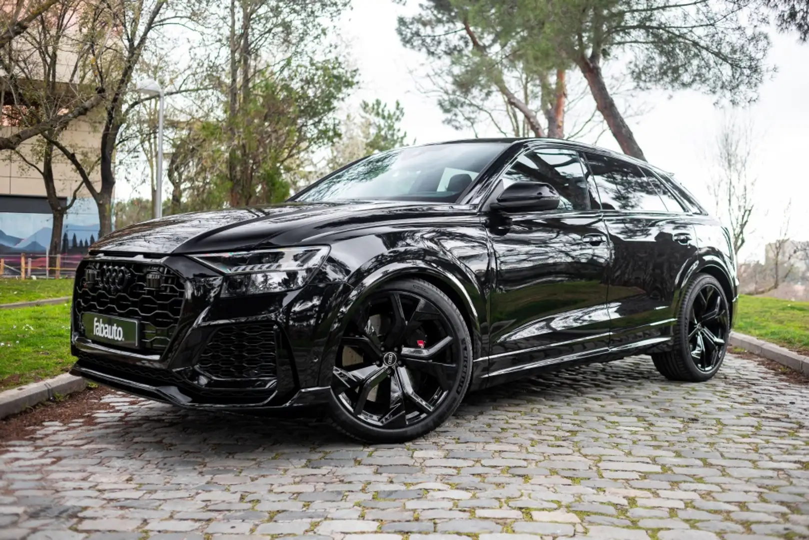 Audi RS Q8 TFSI quattro tiptronic Negro - 1