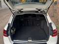 Mercedes-Benz C 180 Estate BE 7G Blanco - thumbnail 16