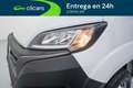 Fiat Ducato Fg. 35 2.2Mjt L2 H2 Panelado 140CV Blanco - thumbnail 10