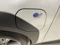 Subaru Solterra 4E-Xperience+ Bianco - thumbnail 15