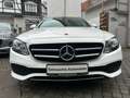 Mercedes-Benz E 300 E 300de T Avantgarde/HuD/Burmester/Navi/360°Kam Blanc - thumbnail 4