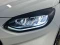 Ford Fiesta 5p 1.0 ecoboost h ST-Line 125cv Bianco - thumbnail 7