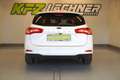 Ford Focus Turnier 1.5 EcoBl. "ST-HEIZ*NAVI*R-KAM*W-PAKET*TE Weiß - thumbnail 5