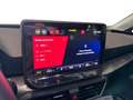 SEAT Leon 2.0 TDI Business Weiß - thumbnail 10