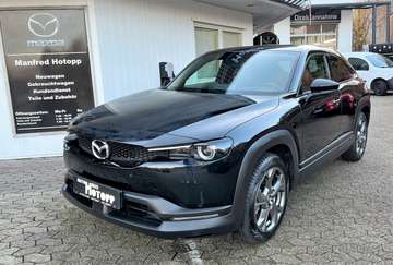 EV Premium-P/Komfort-P/360°/BOSE/ACC/SHZ