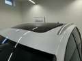 Volkswagen Tiguan 2,0 TDI DSG  4Motion Highline ,R-Line, AHK Blanc - thumbnail 35