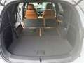BYD Tang EXECUTIVE Blanco - thumbnail 30
