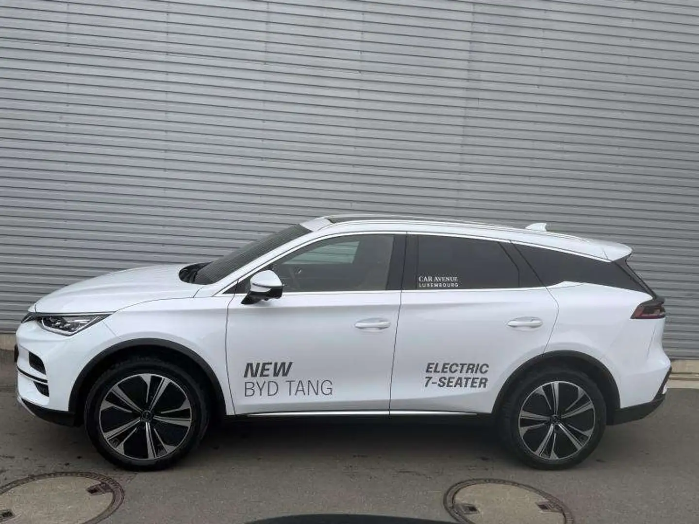 BYD Tang EXECUTIVE Blanco - 2