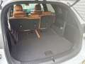 BYD Tang EXECUTIVE Blanco - thumbnail 29