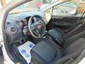 Fiat Punto 1.2i Street ***Faible KM*** Blanc - thumbnail 10