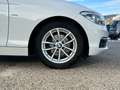 BMW 116 116d Sport 5p Bianco - thumbnail 15