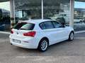 BMW 116 116d Sport 5p Bianco - thumbnail 2