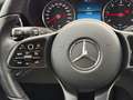 Mercedes-Benz C 300 de T-Modell,18-Zo,1-Hand,R-Kamera,LED-Licht Schwarz - thumbnail 30