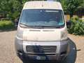 Fiat Ducato MAXI L2H2 Bianco - thumbnail 3