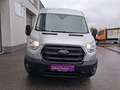 Ford Transit Transit Kasten 2,0 EcoBlue L3H2 350 Premium Argent - thumbnail 6