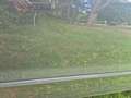 Volkswagen Fox Fox 1.4 Grau - thumbnail 5