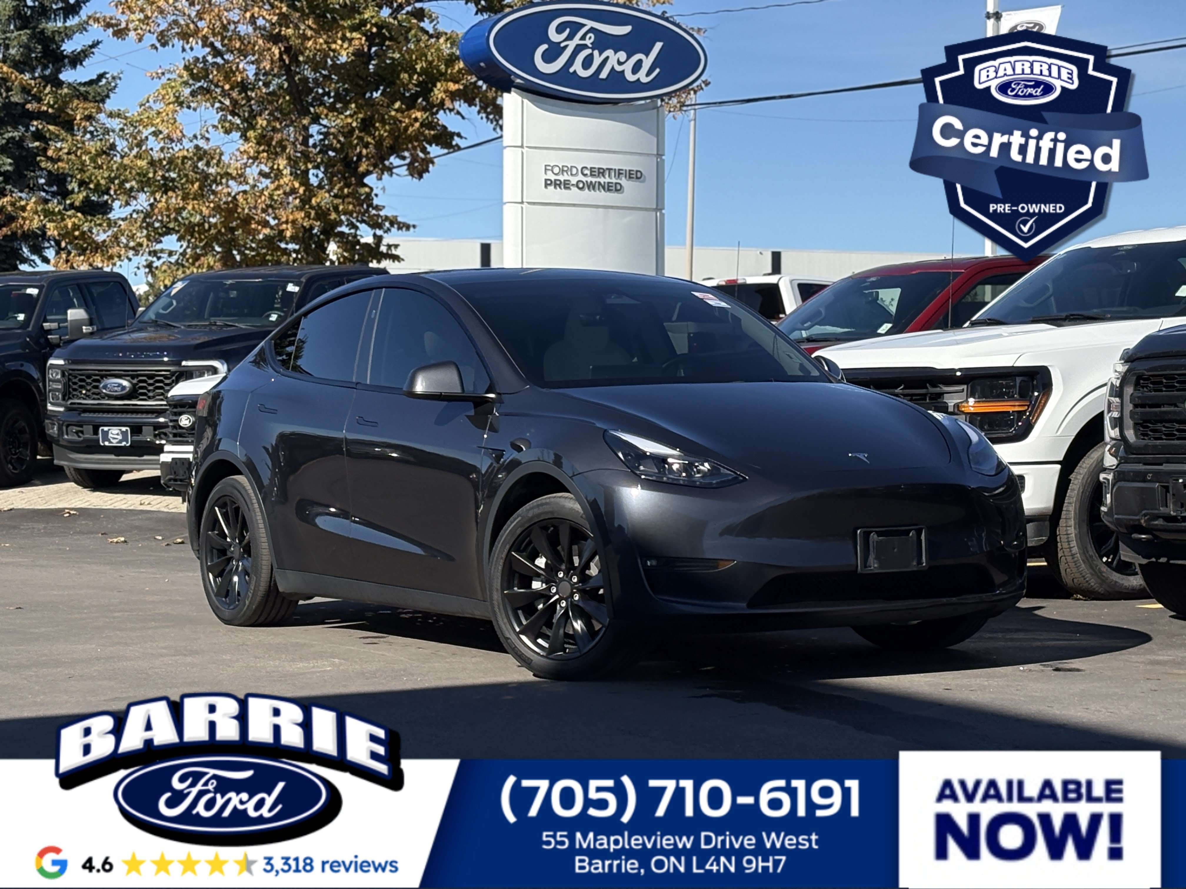 2024 Tesla Model Y