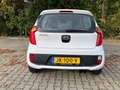 Kia Picanto 1.0 CVVT Comfort Pack Blanco - thumbnail 4