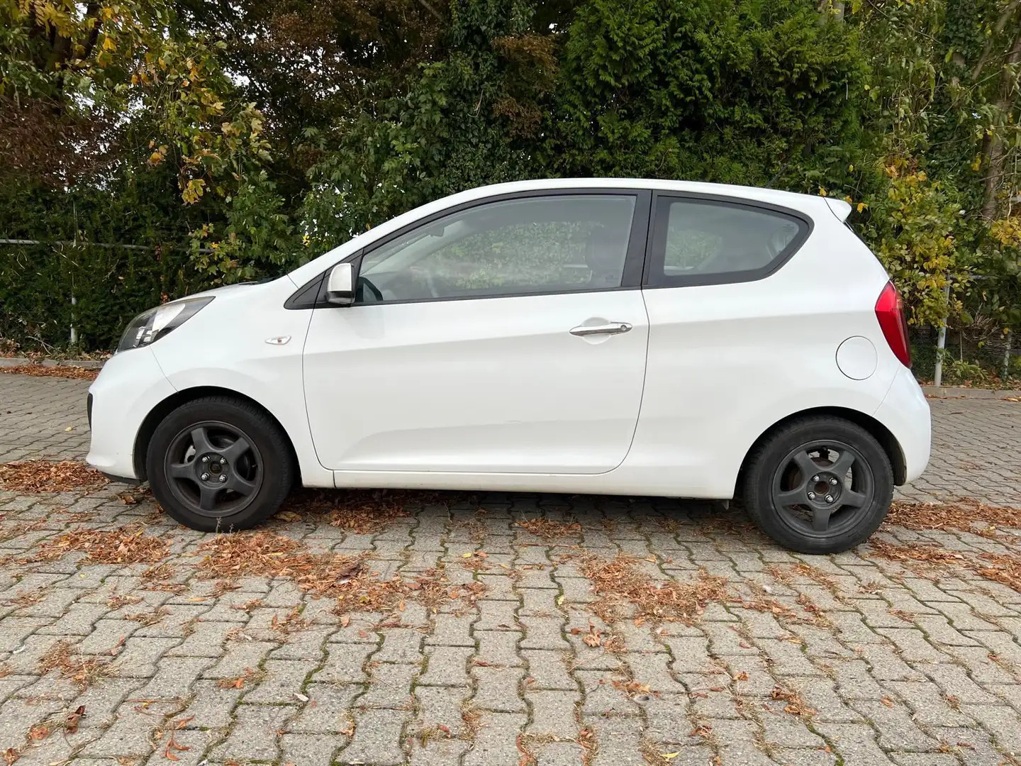 Kia Picanto 1.0 CVVT Comfort Pack Blanco - 2